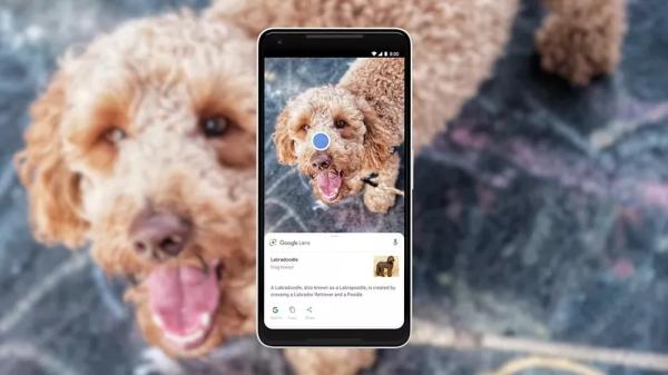 Сможет ли Google создать «Интернет мест»?
